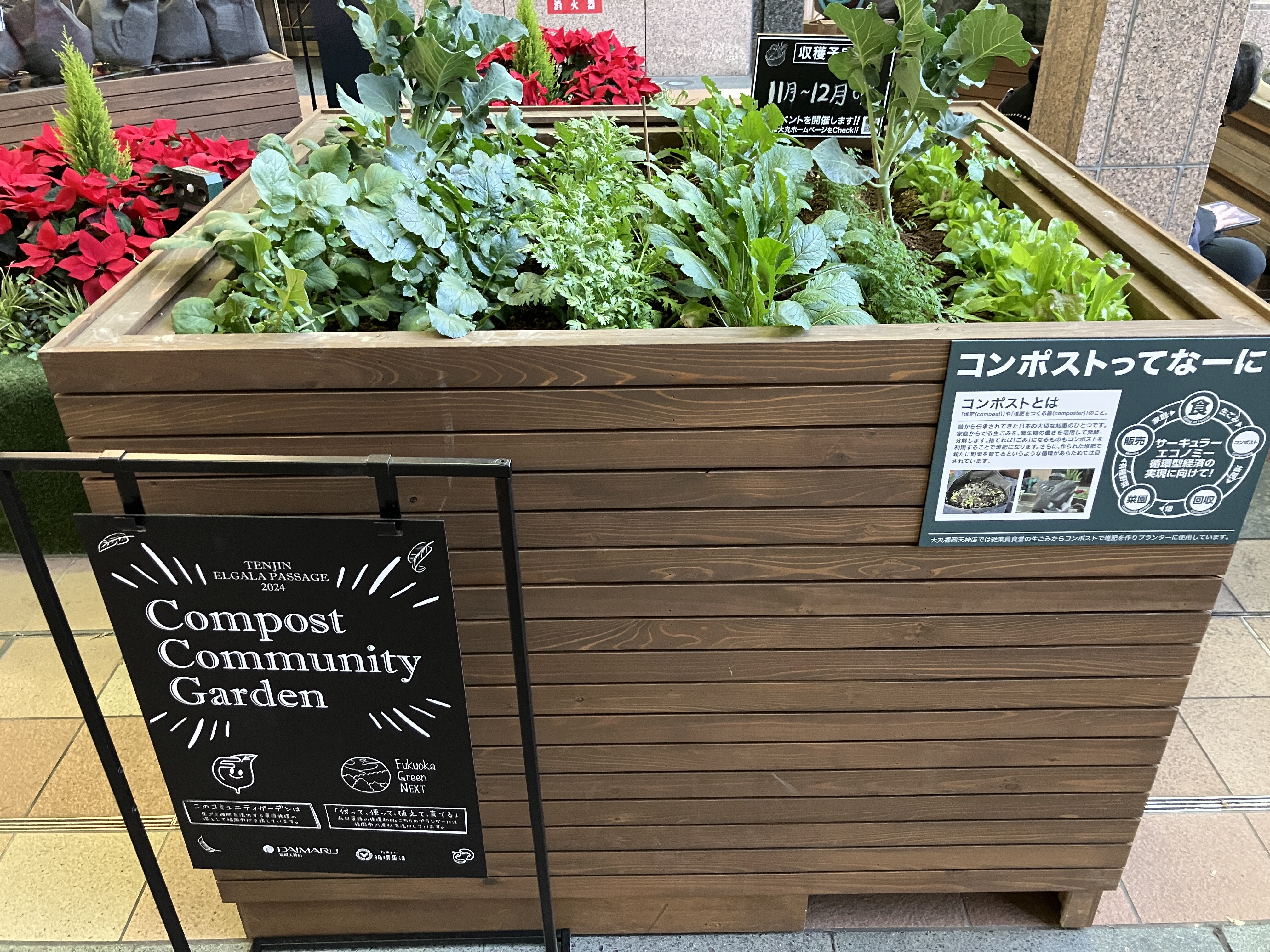 コンポストコミュニティーガーデン
