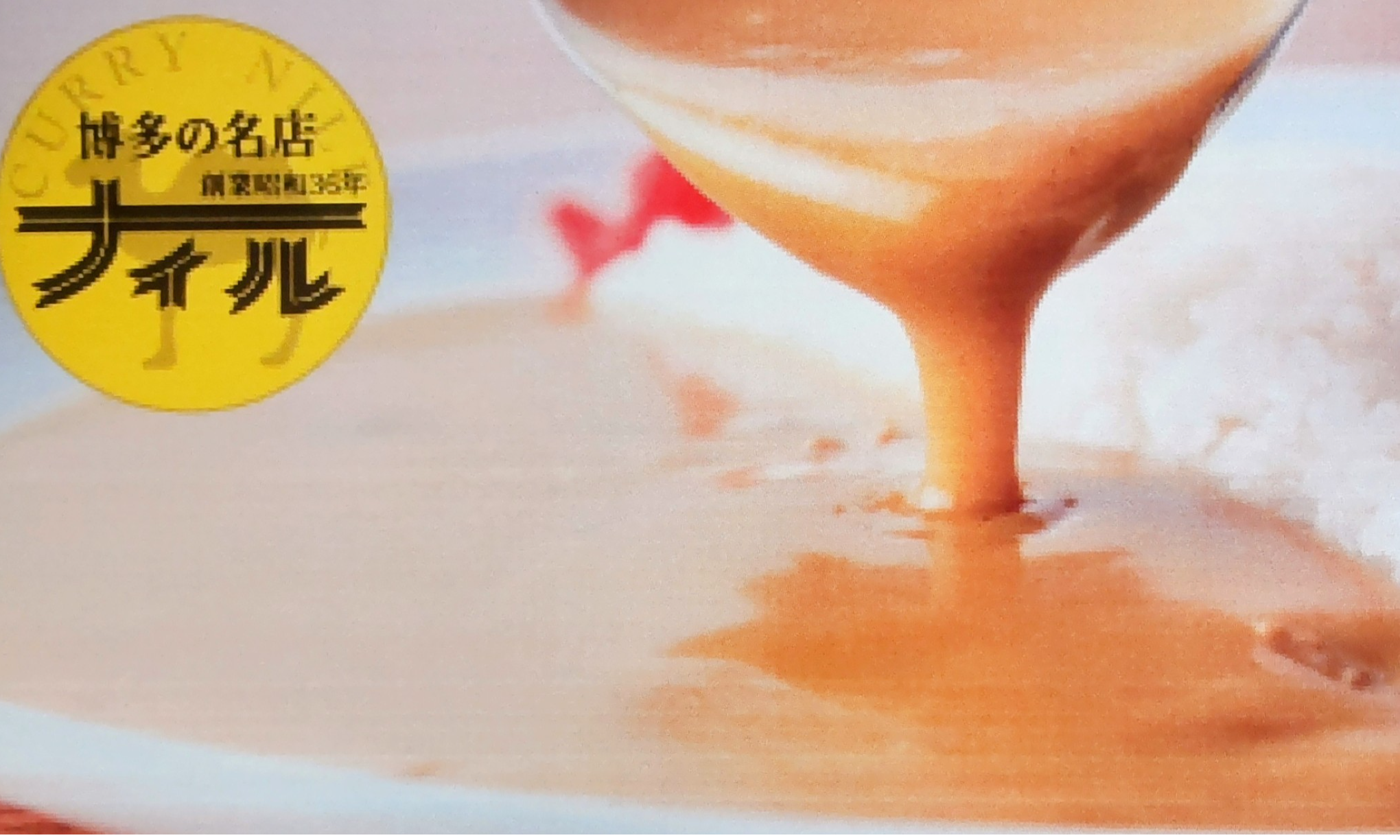 【明治屋プレミアムフローズン】ナイルカレー試食販売🐪