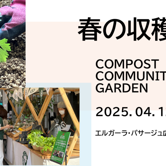 春の収穫祭やります!🥬 パサージュ広場コンポストコミュニティガーデン